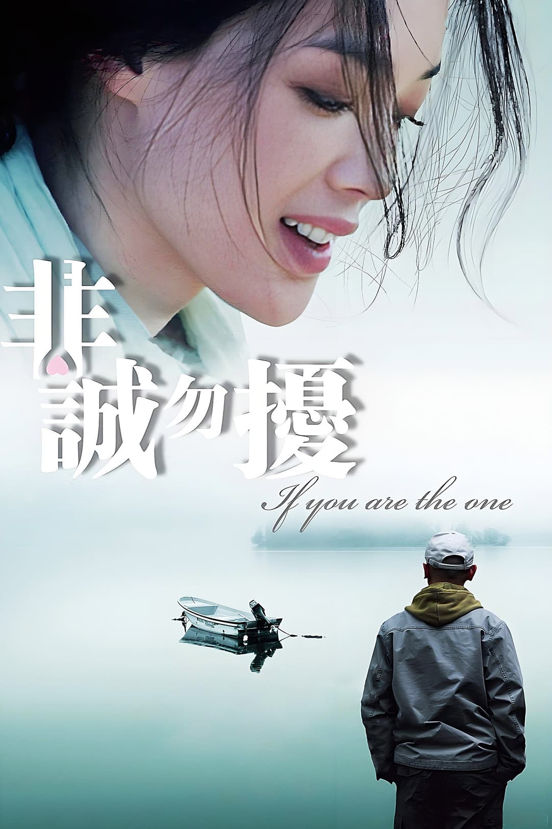 Poster di 非诚勿扰