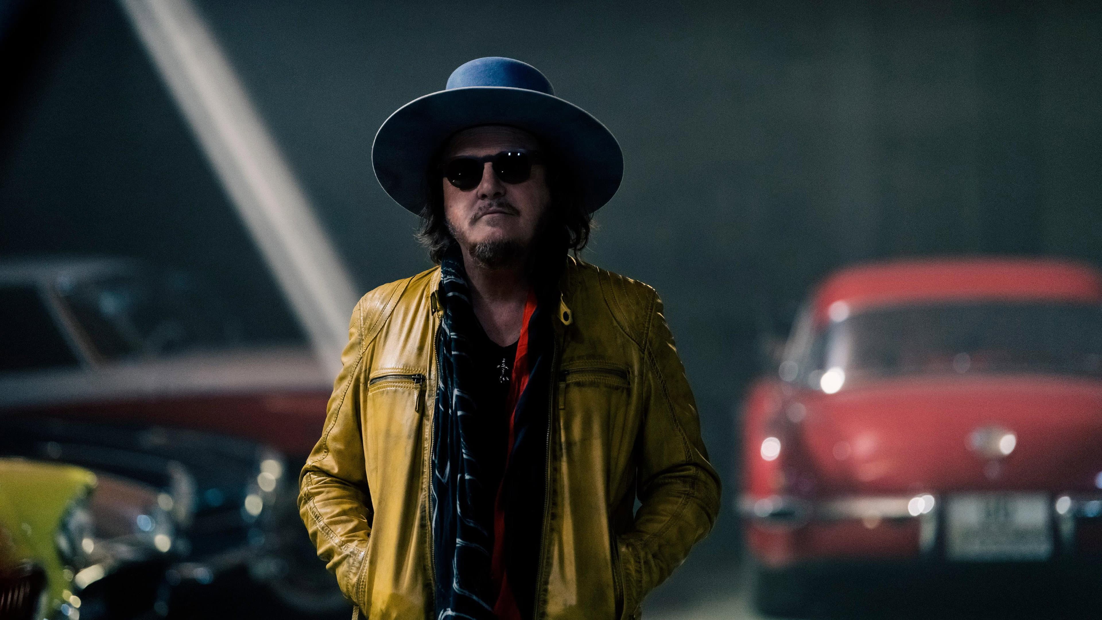 Zucchero | Sugar Fornaciari - immagine