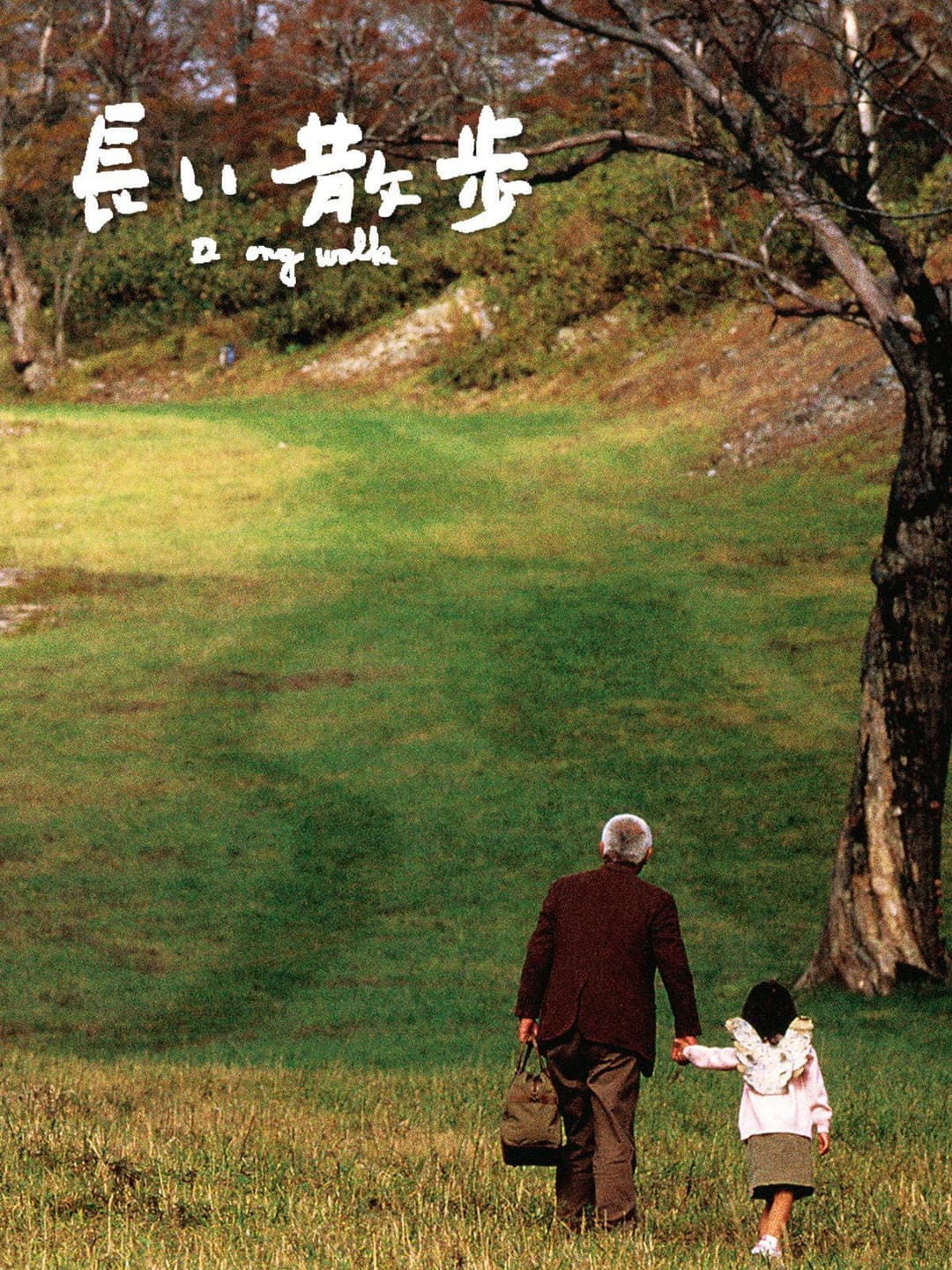 Poster di 長い散歩
