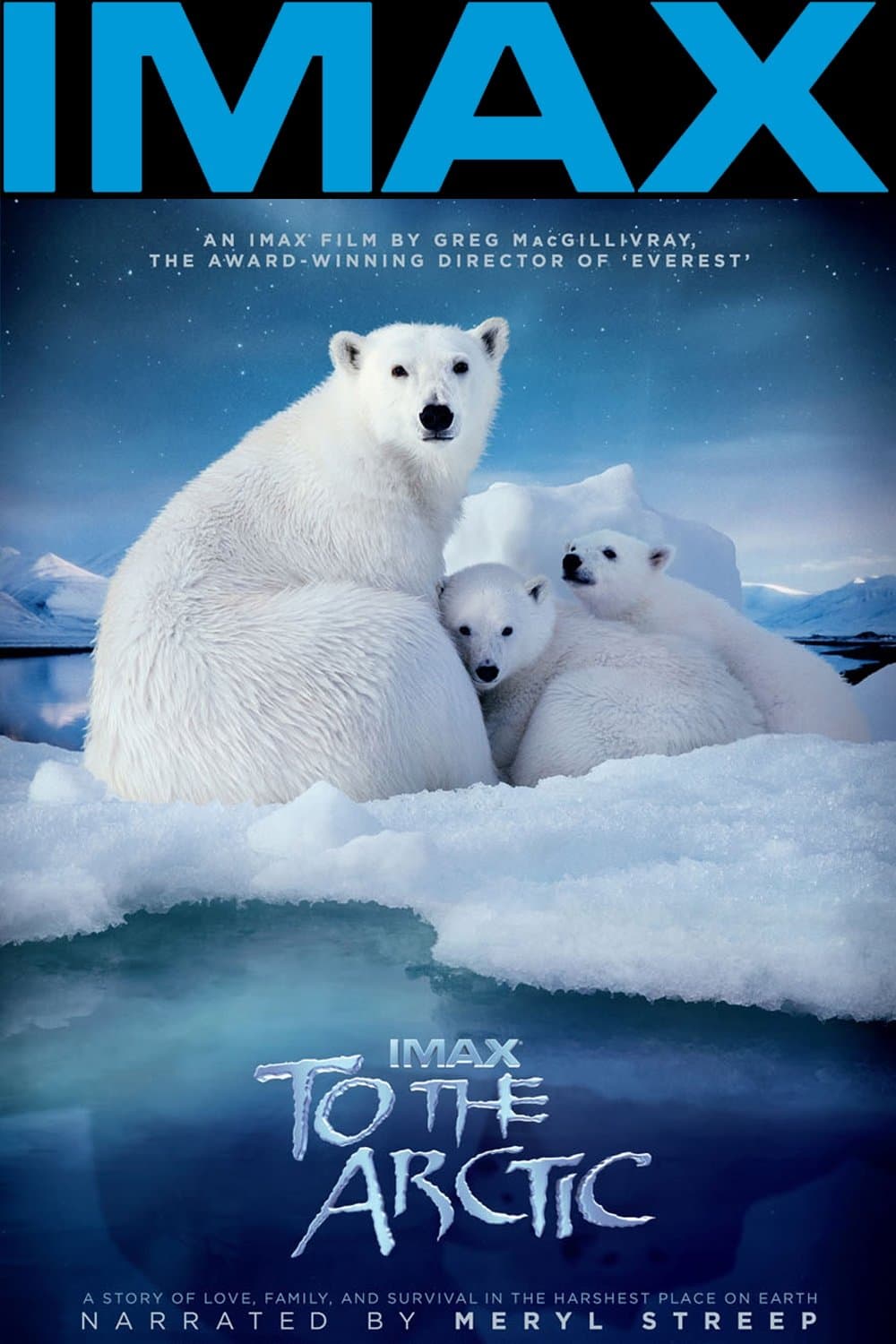 Poster di To the Arctic 3D