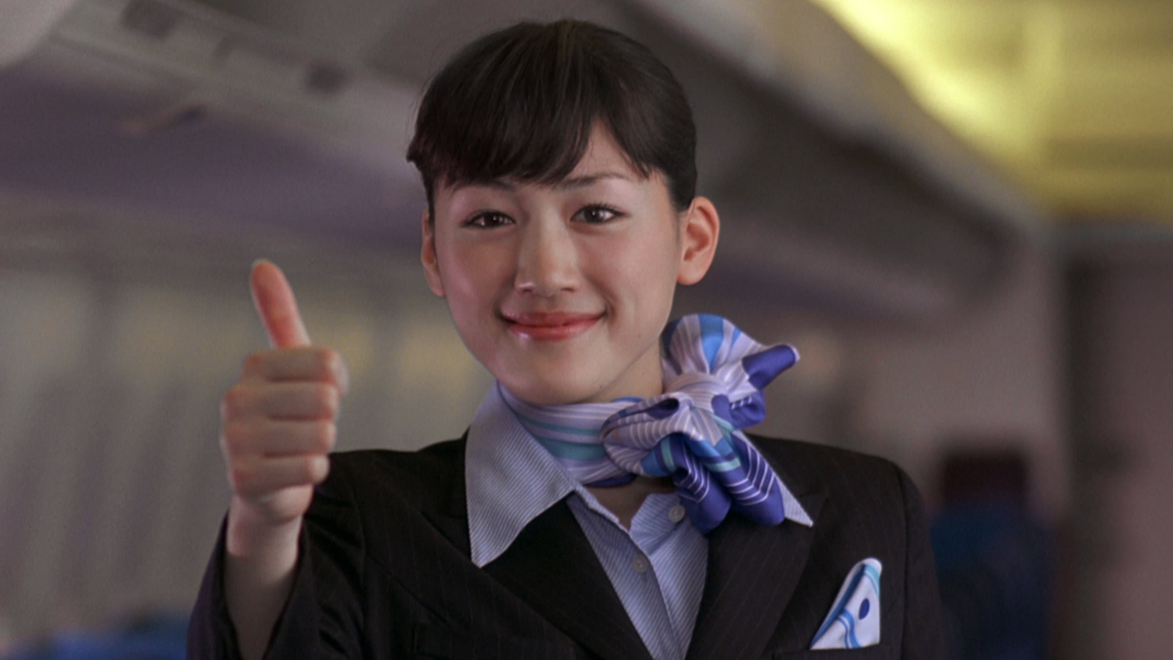 Happy Flight - immagine