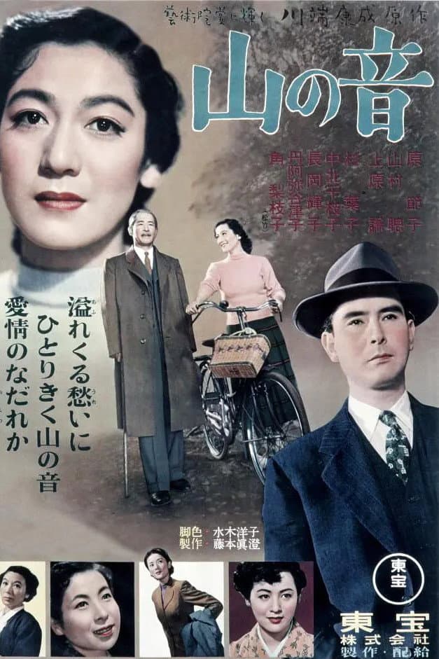 Poster di 山の音