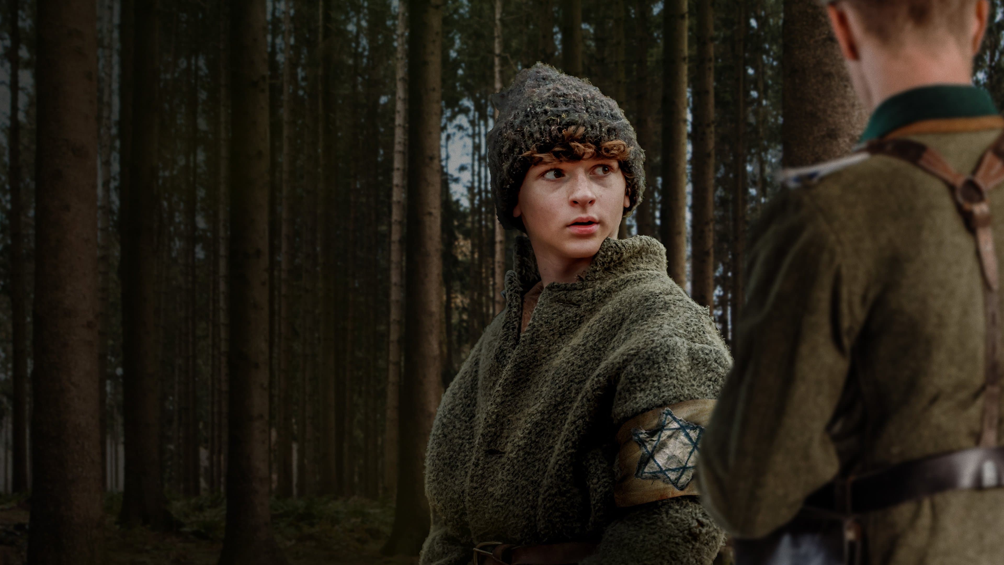 The Boy in the Woods - immagine