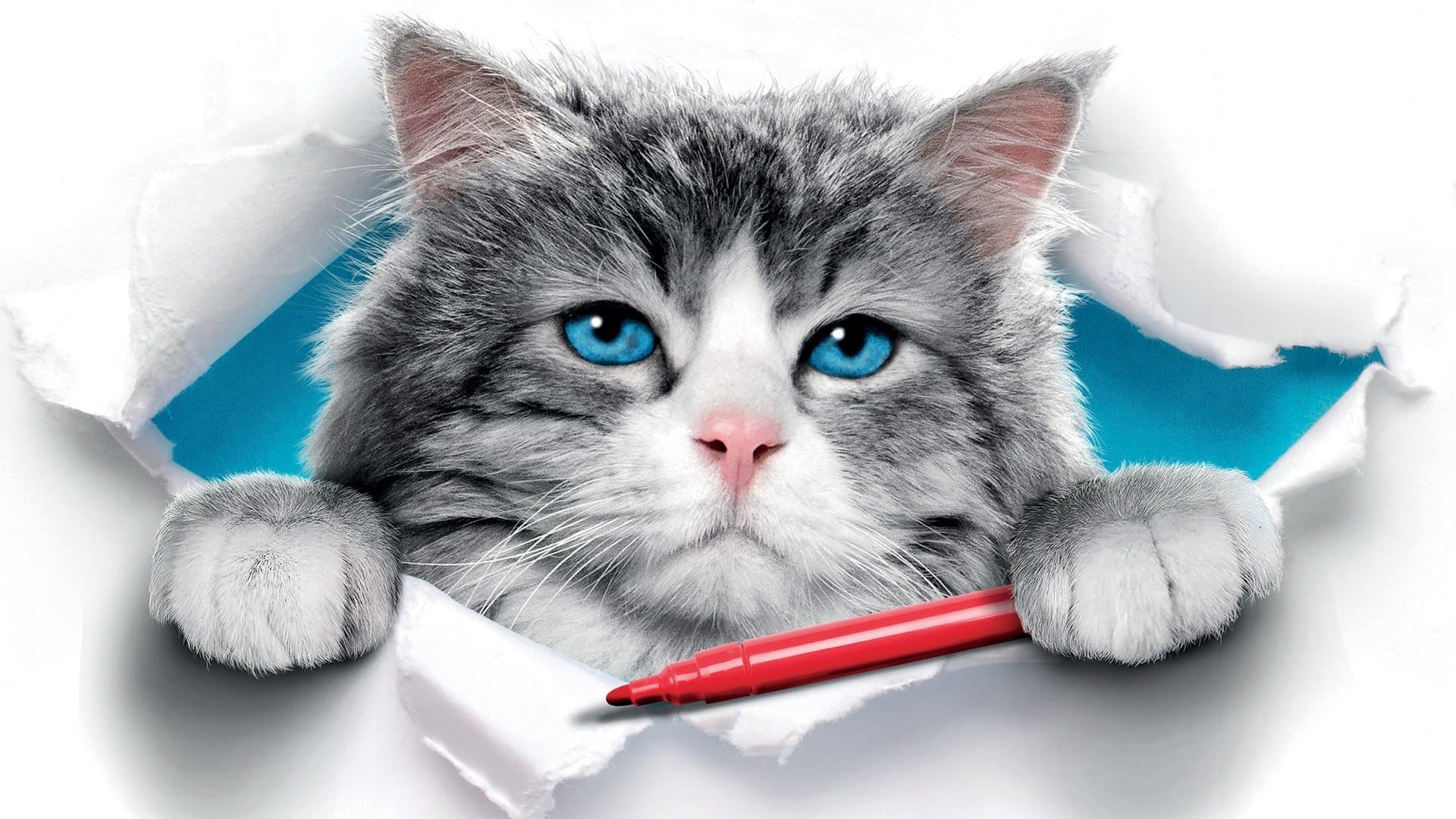 Una vita da gatto - immagine