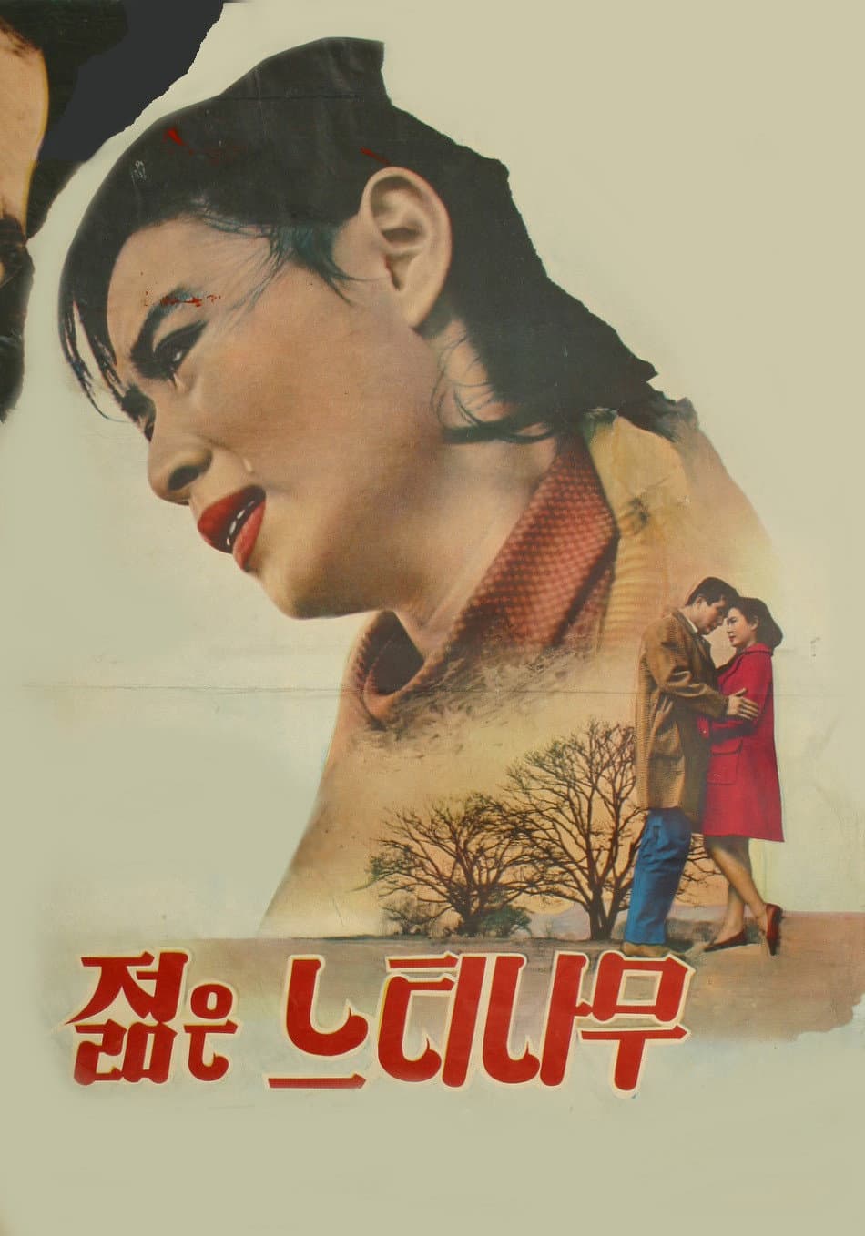 Poster di 젊은 느티나무