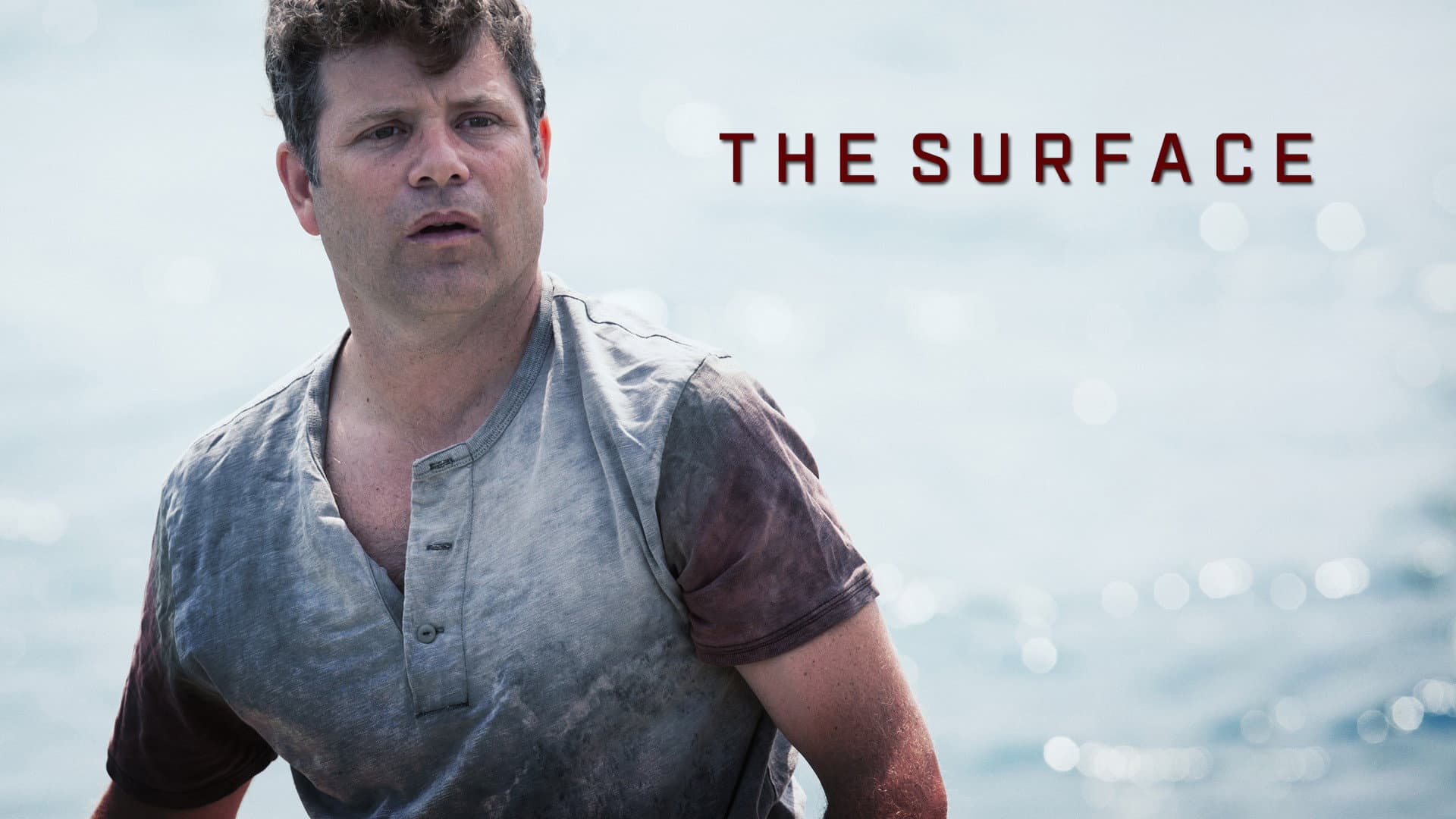 The Surface - immagine