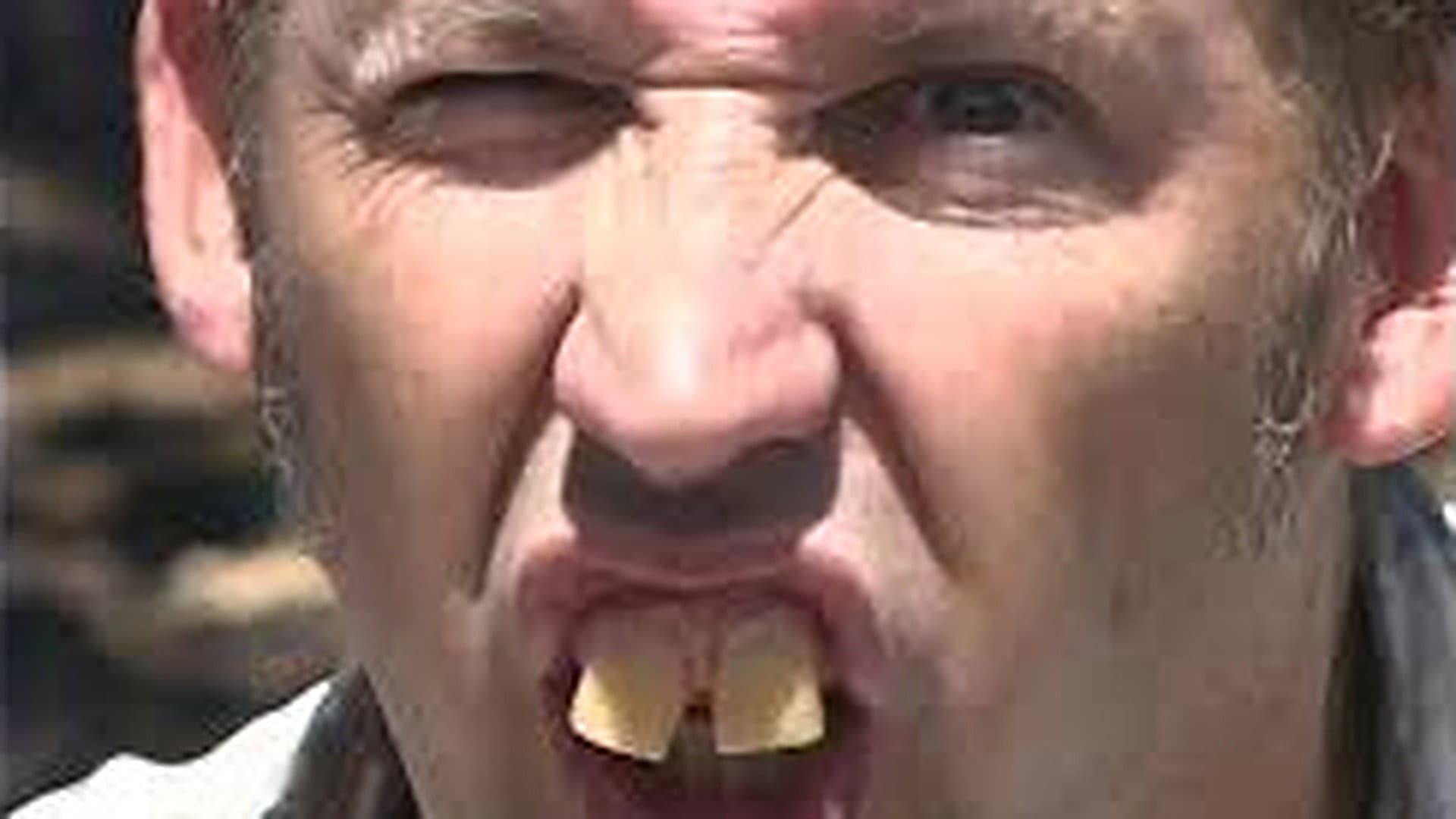 Fudgy Wudgy Fudge Face - immagine