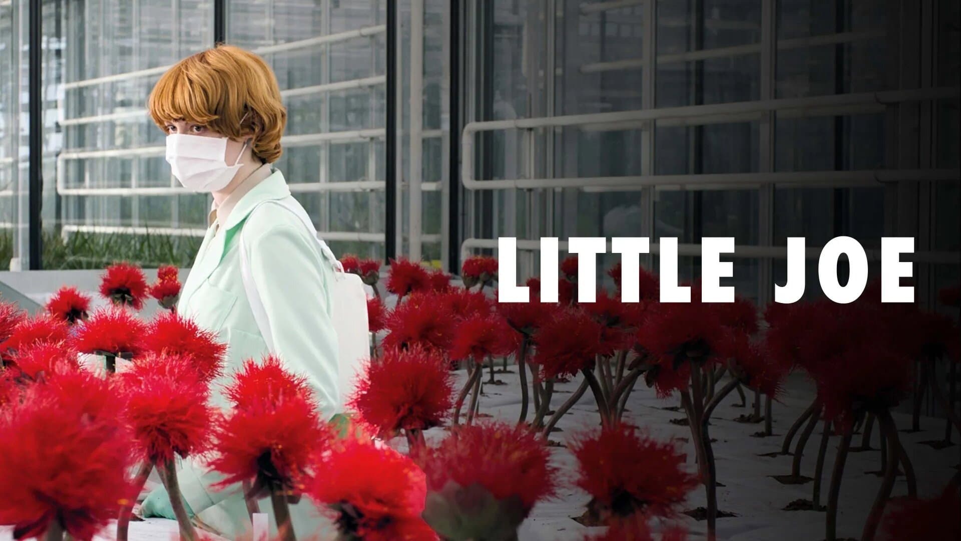 Little Joe - immagine