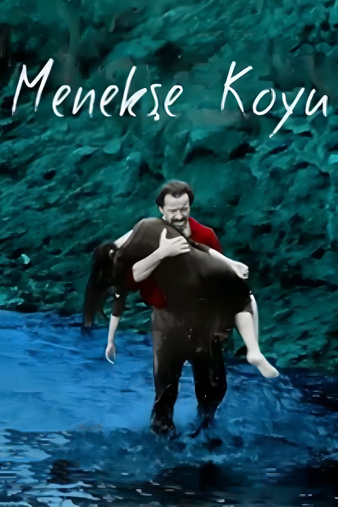 Poster di Menekşe Koyu