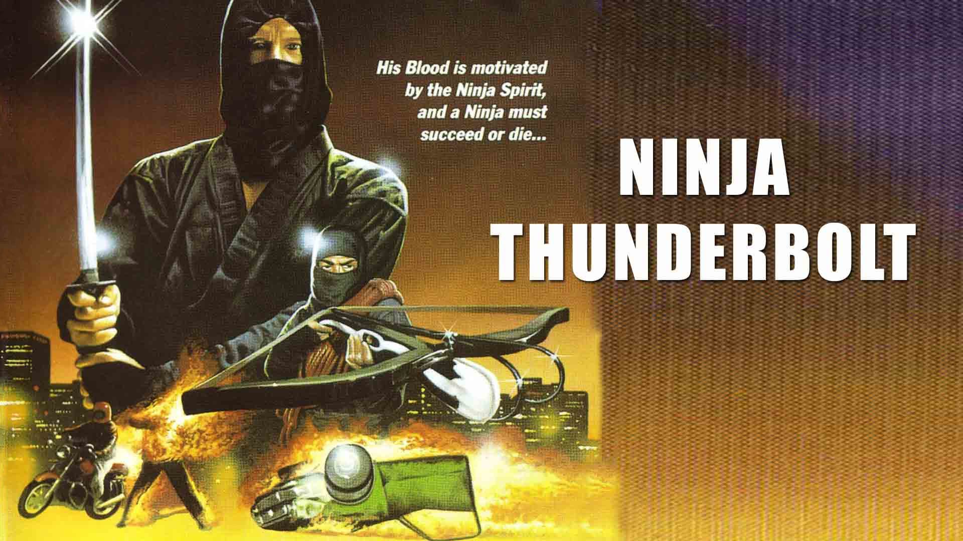 Ninja Thunderbolt - immagine