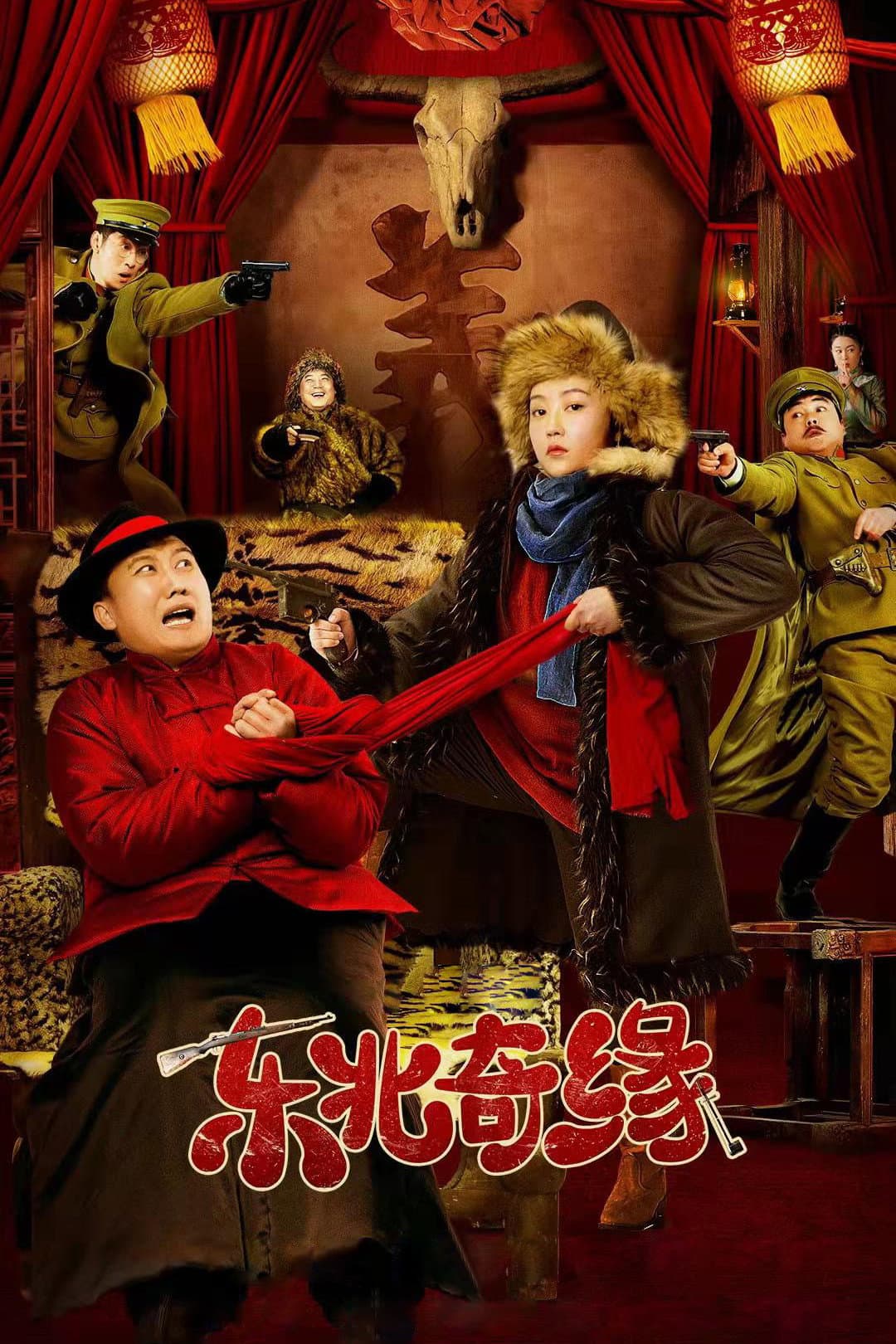Poster di 东北奇缘