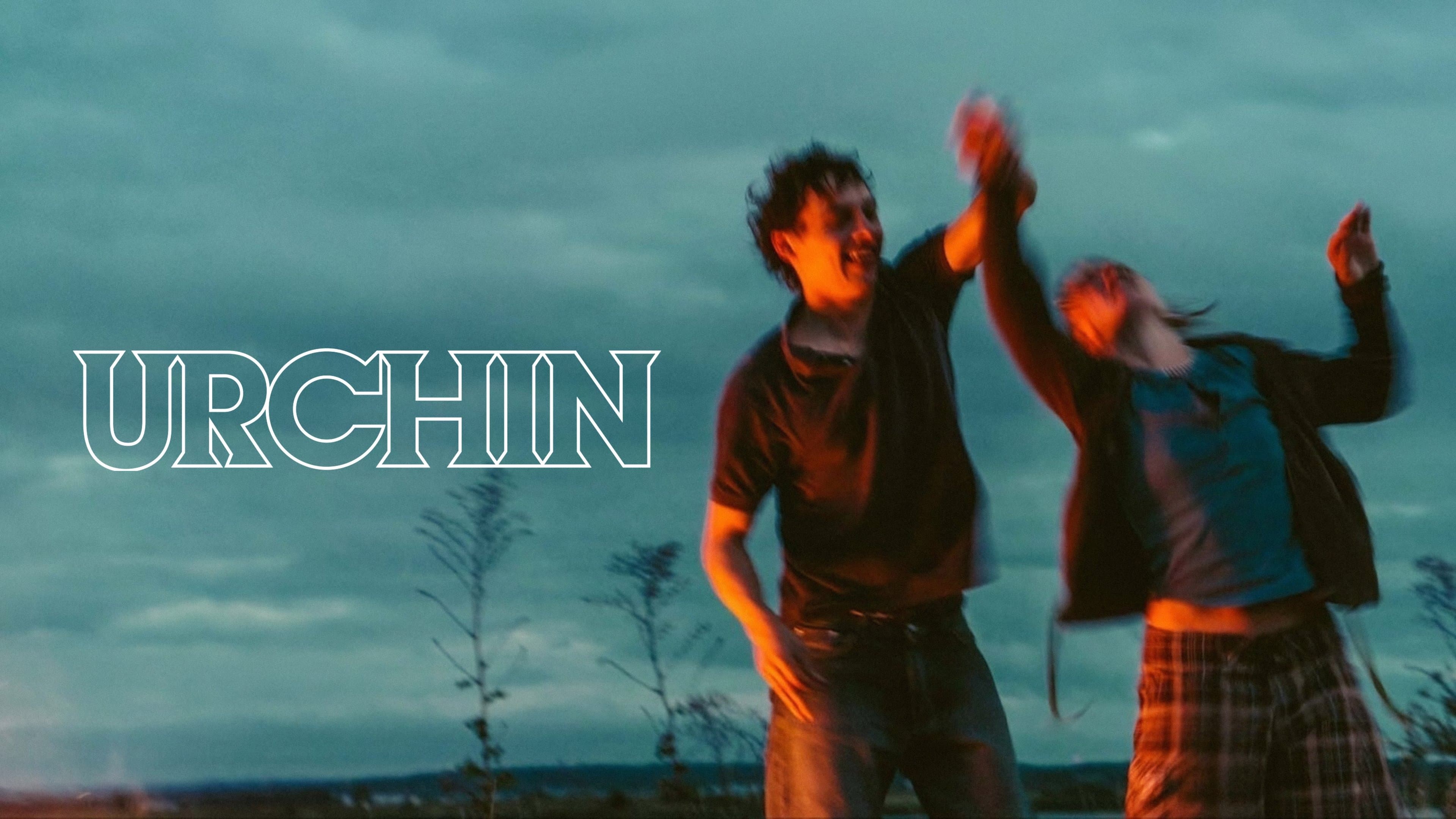 Urchin - immagine