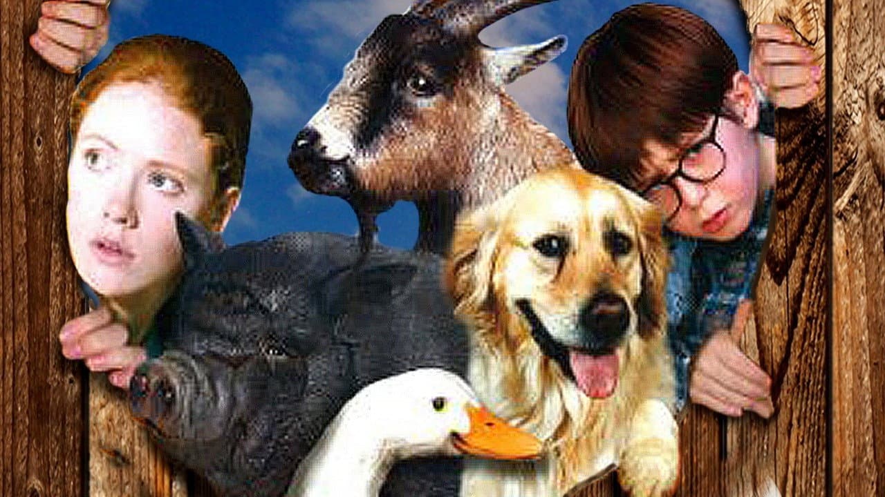 Pets - immagine