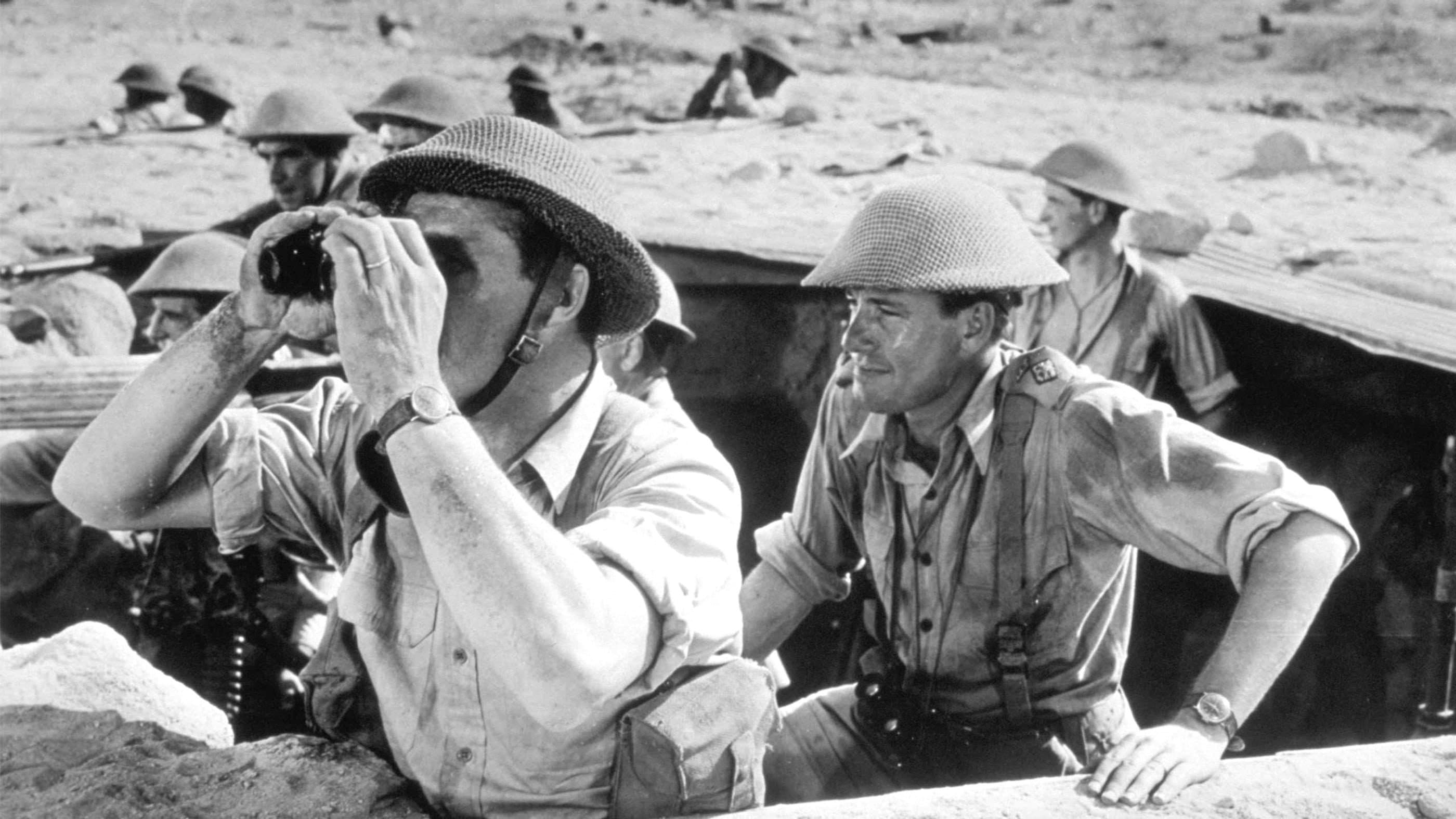 I topi del deserto - immagine