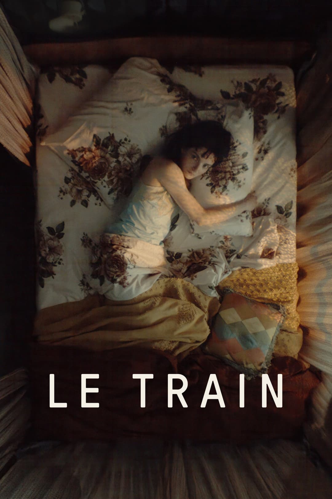 Poster di Le train