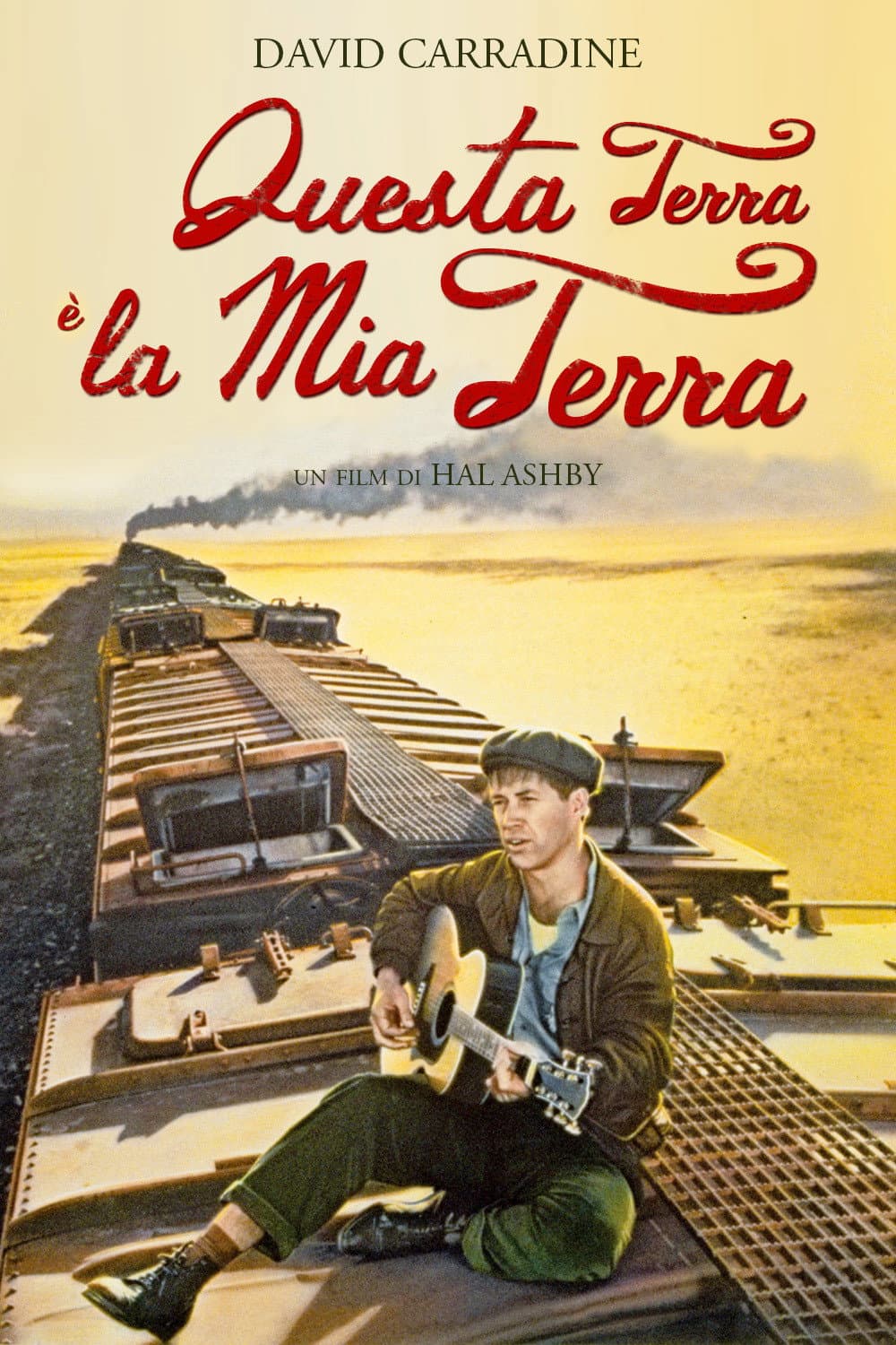 Poster di Questa terra è la mia terra