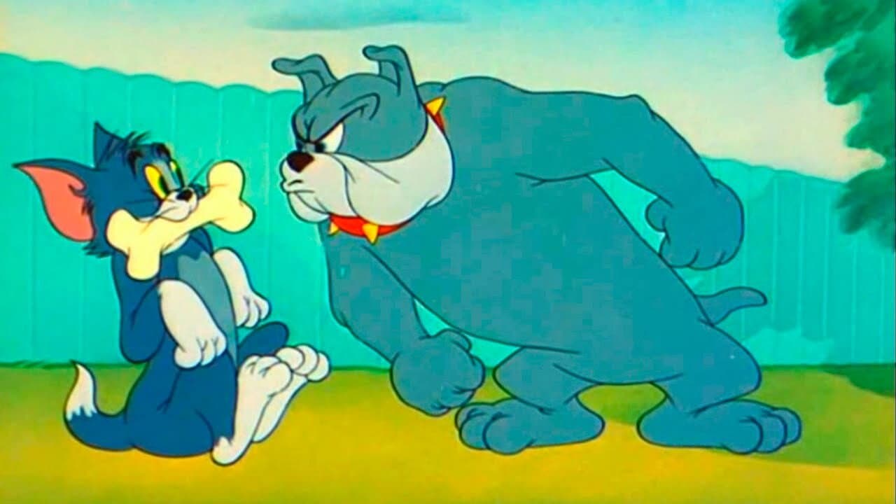 Il gatto incastrato - immagine