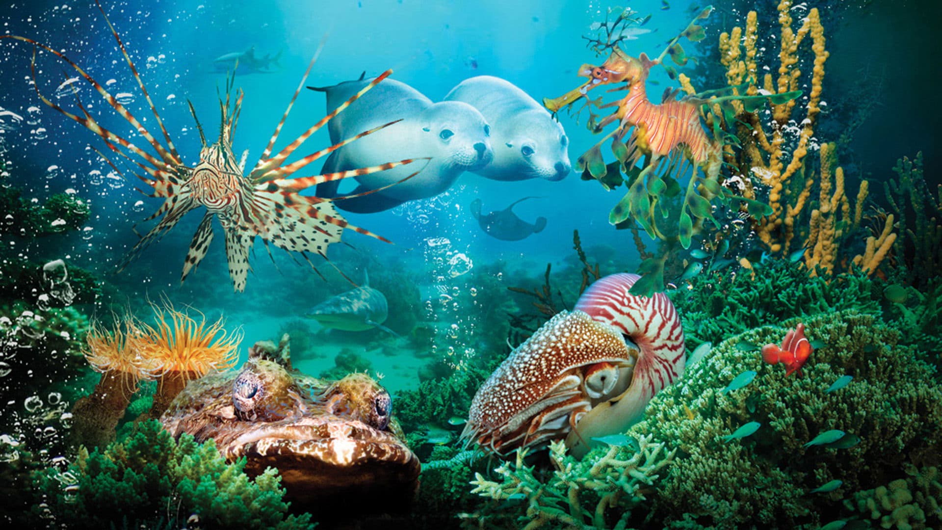 Under the Sea 3D - immagine