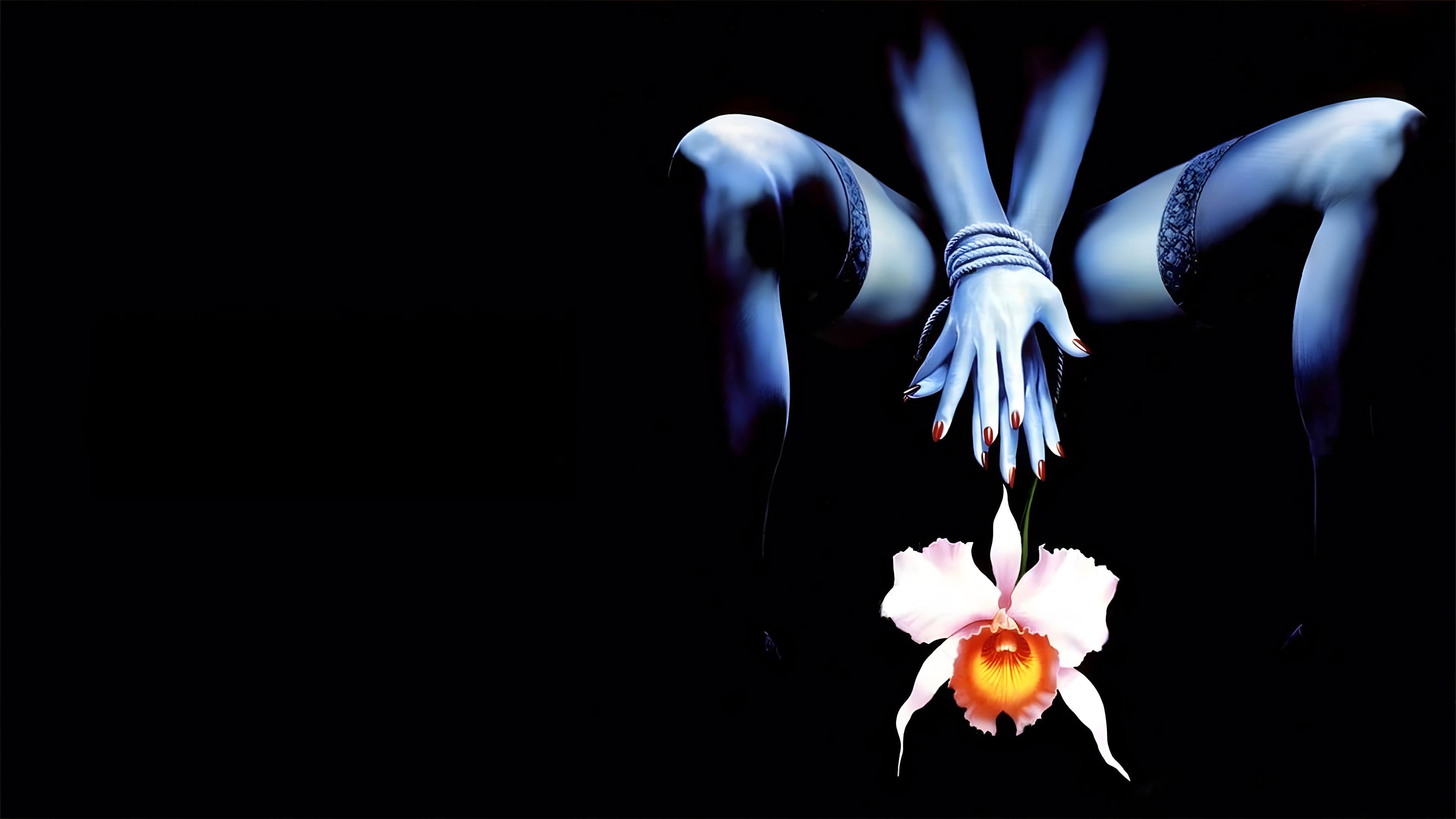 Orchidea selvaggia 2 - immagine