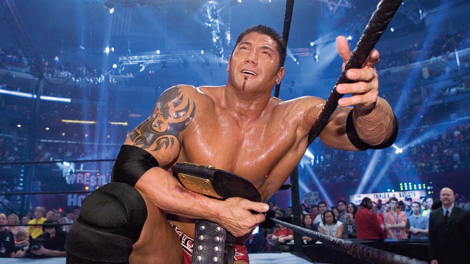 WWE WrestleMania 21 - immagine