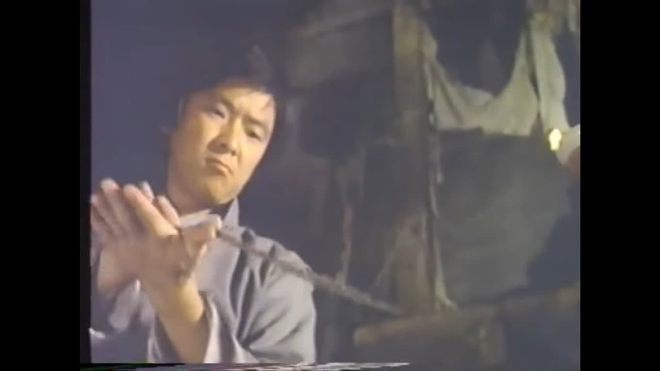 Bruce Lee la tigre indomabile - immagine
