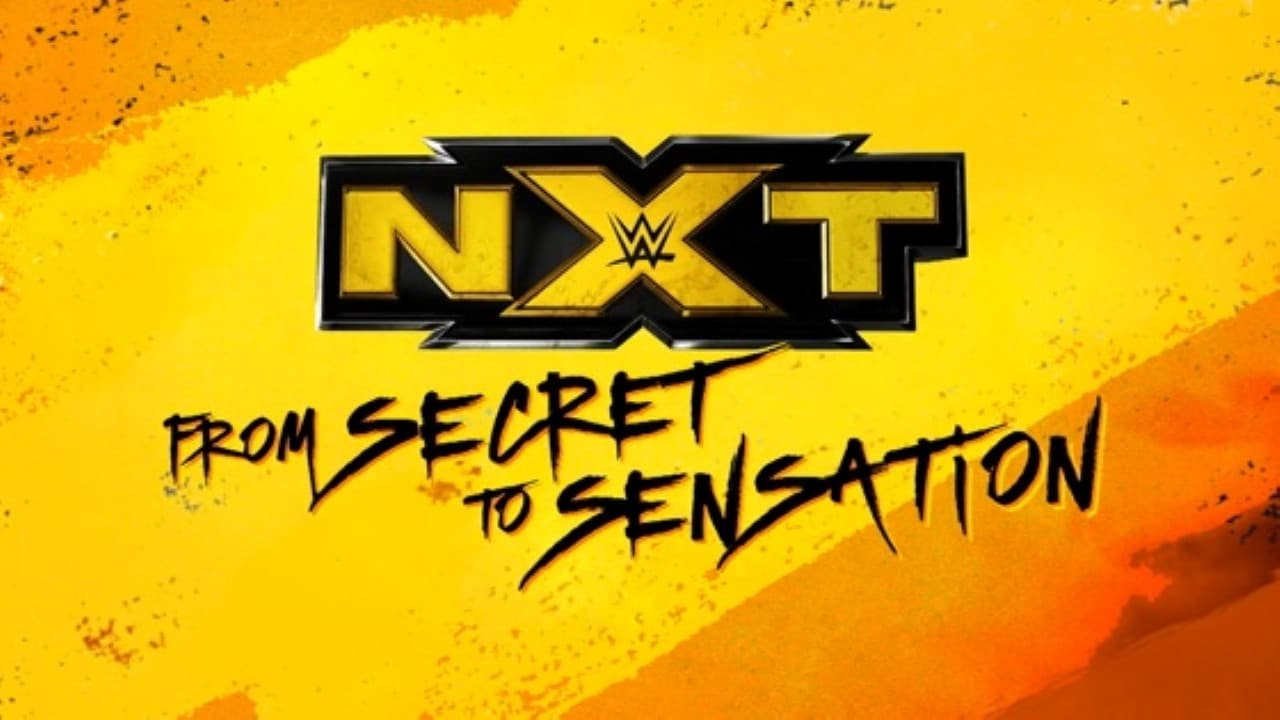 NXT: From Secret To Sensation - immagine