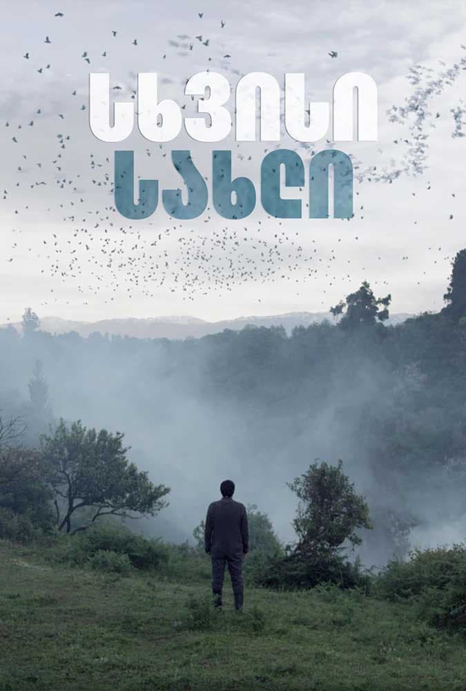 Poster di სხვისი სახლი