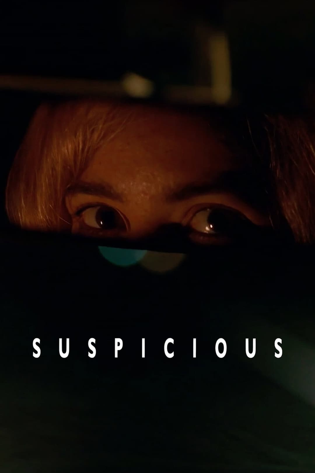 Poster di Suspicious