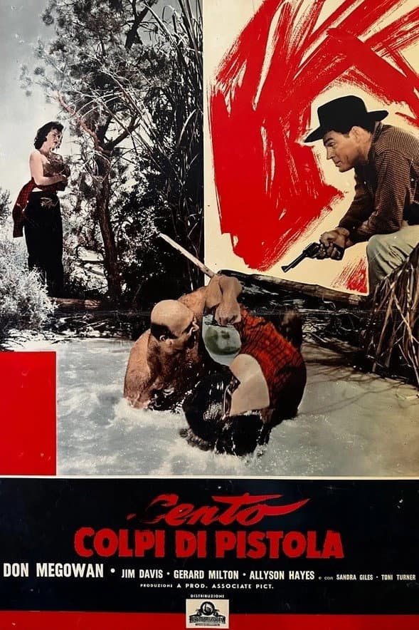 Poster di Cento colpi di pistola