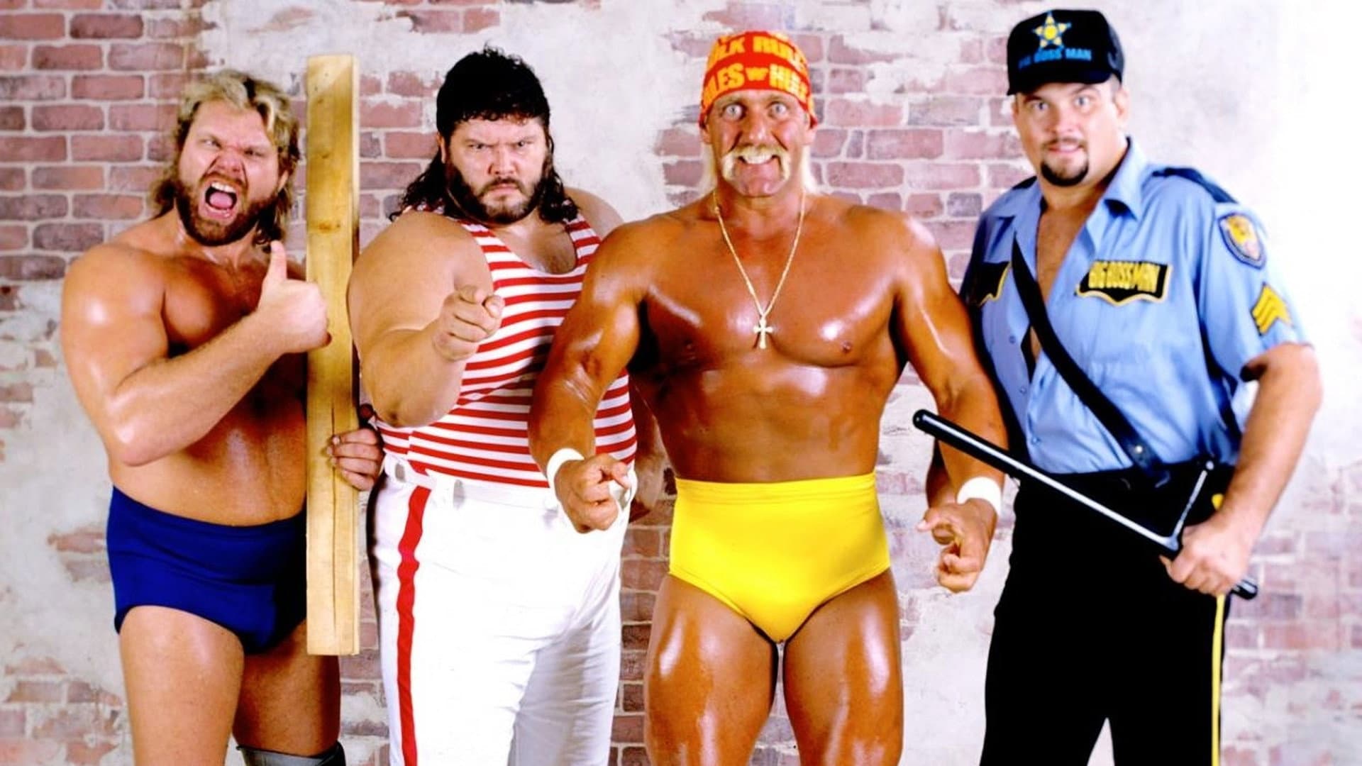 WWE Survivor Series 1990 - immagine