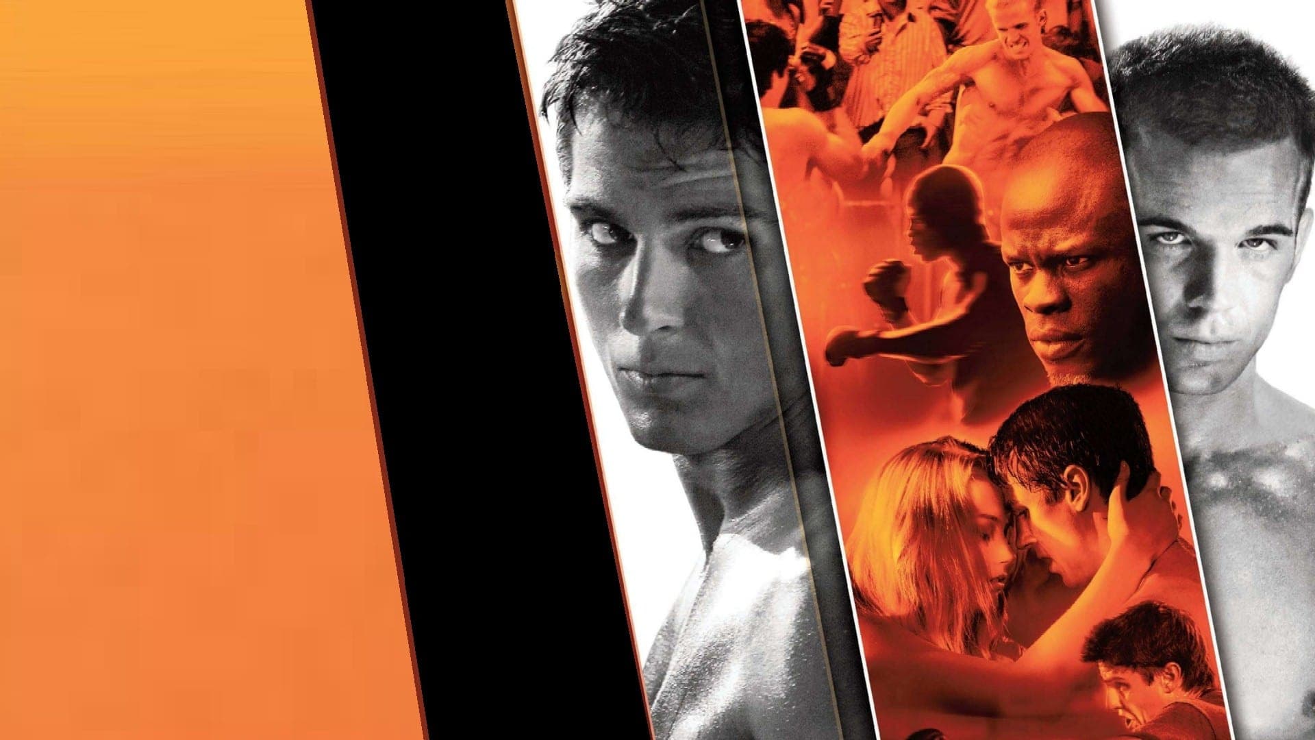 Never Back Down - Mai arrendersi - immagine