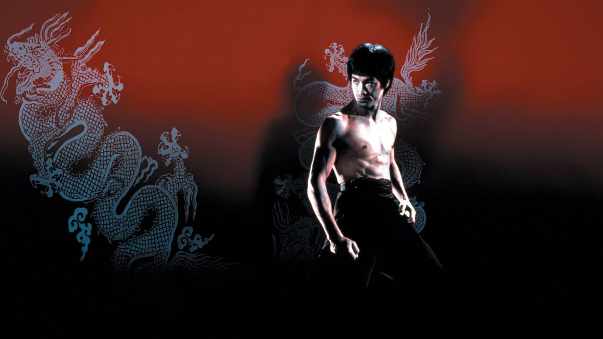 Bruce Lee: la maledizione del drago - immagine