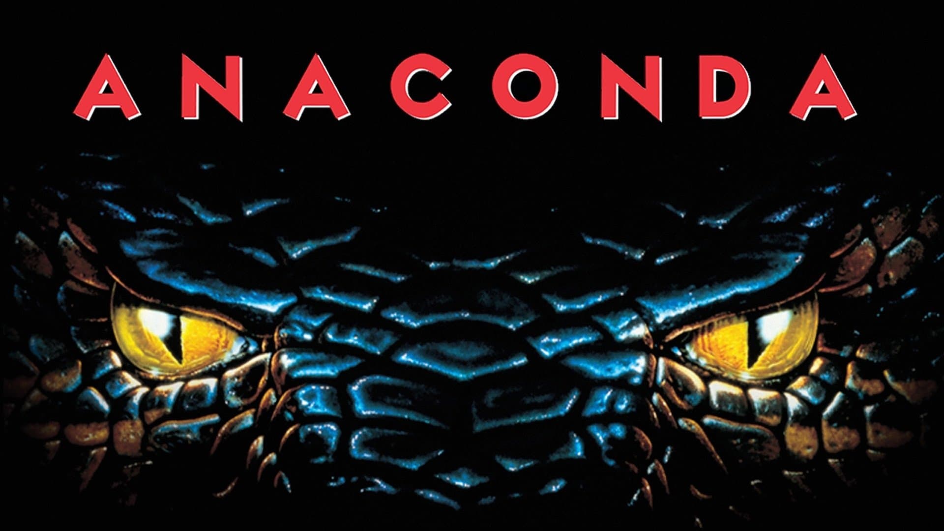 Anaconda - immagine