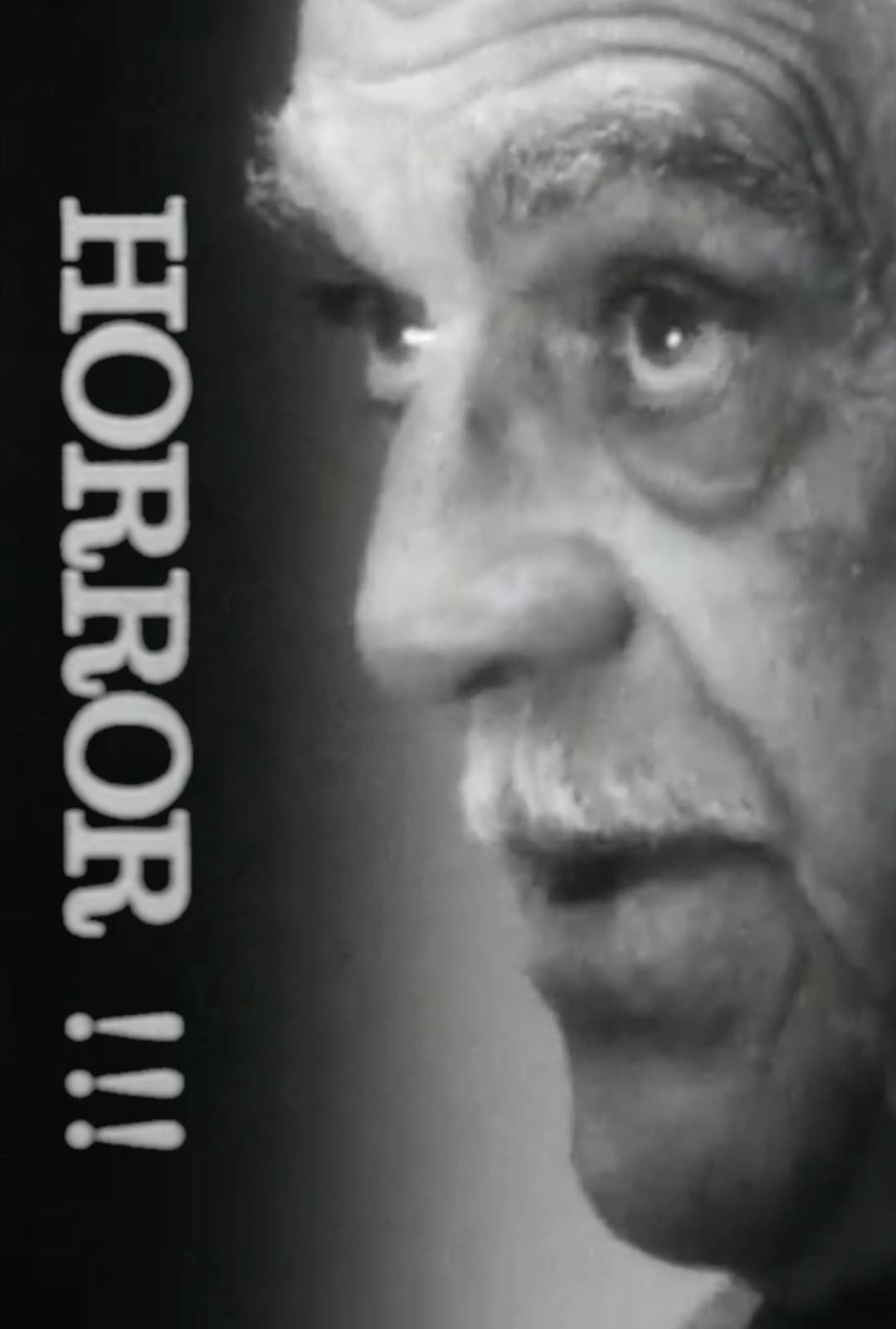 Poster di Horror!!!