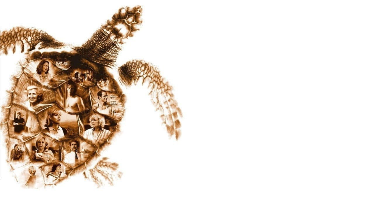 Loggerheads - immagine