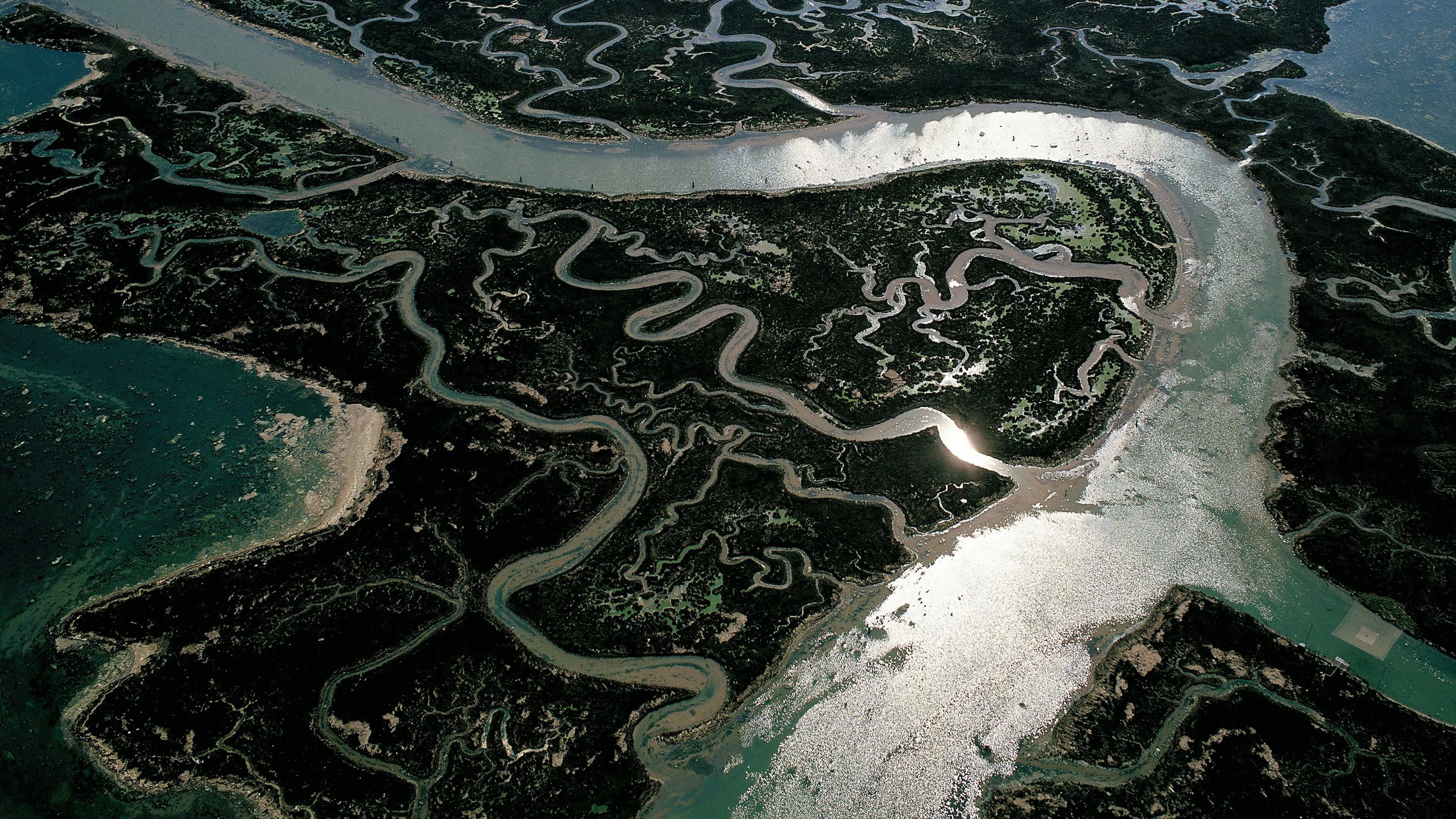 River - immagine