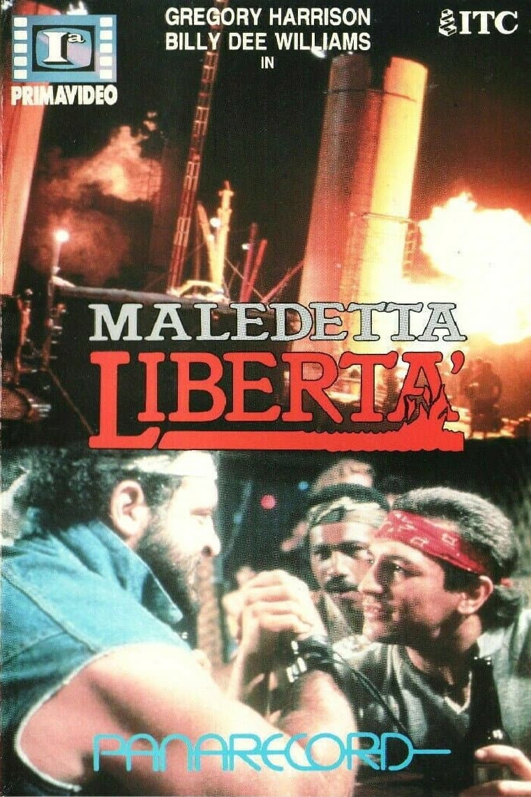 Poster di Maledetta libertà