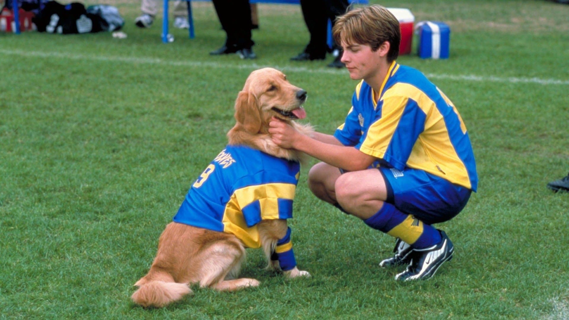 Air Bud 3 - immagine