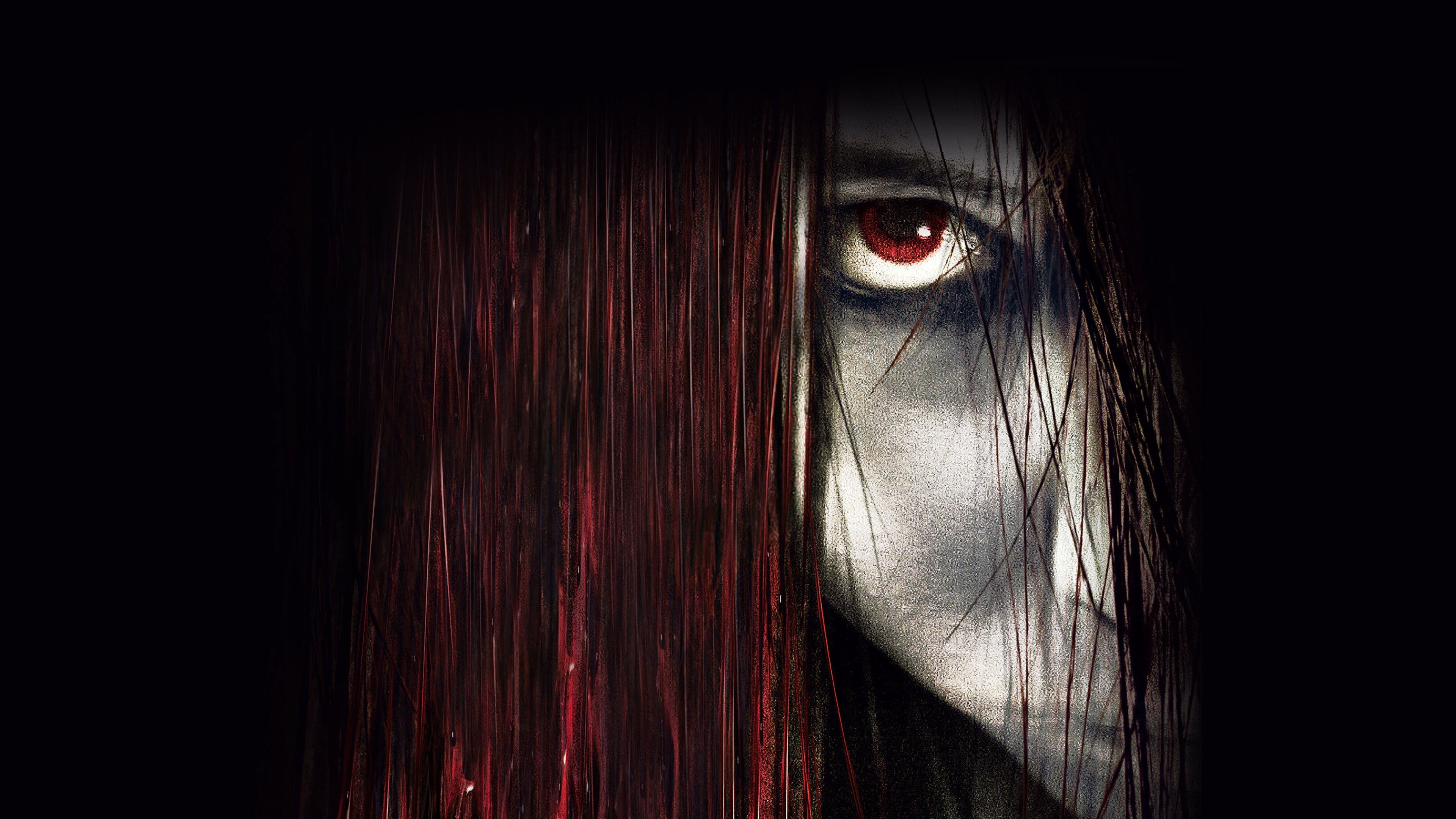 The Grudge 3 - immagine