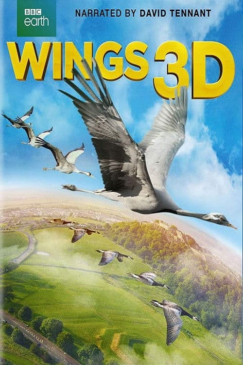 Poster di Wings 3D