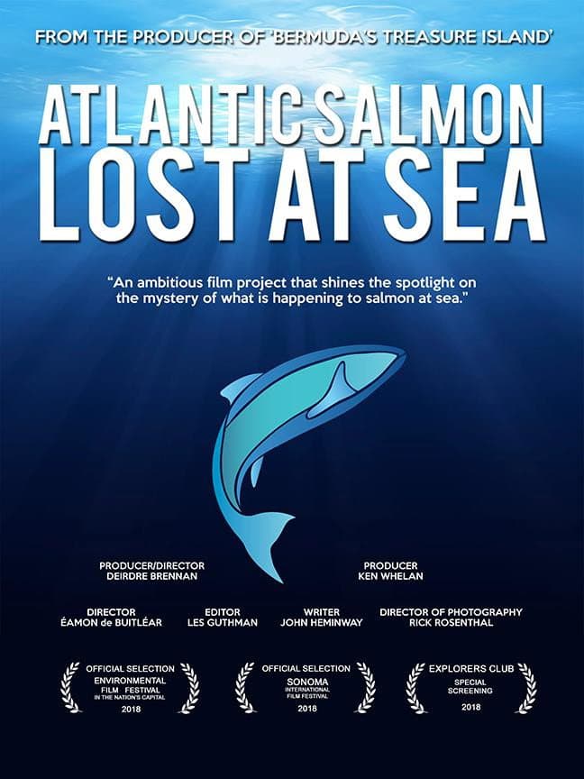 Poster di Atlantic Salmon: Lost at Sea