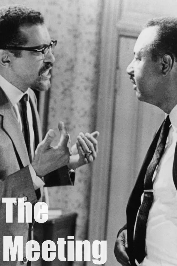 Poster di The Meeting