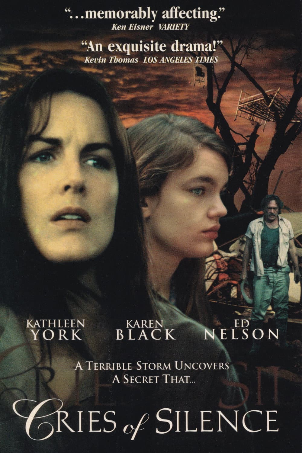Poster di Cries of Silence