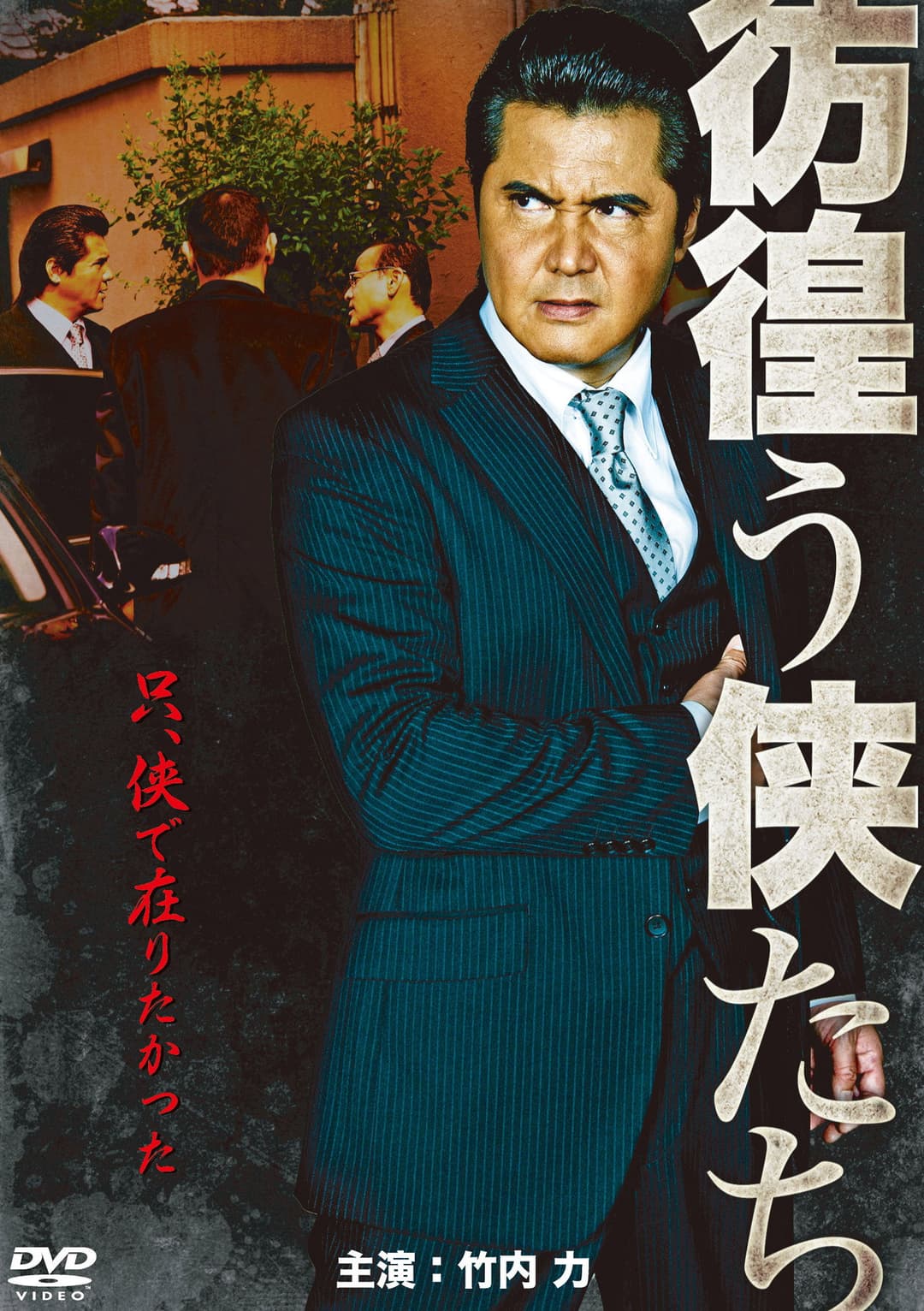 Poster di 彷徨う侠たち