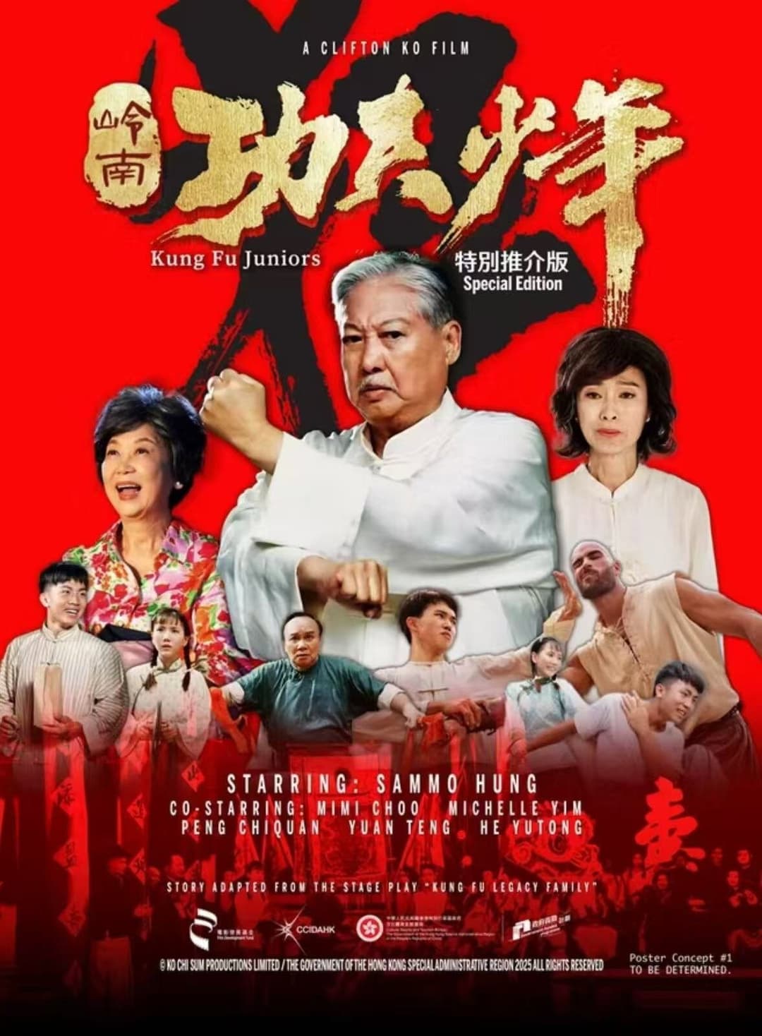 Poster di Kung Fu Juniors