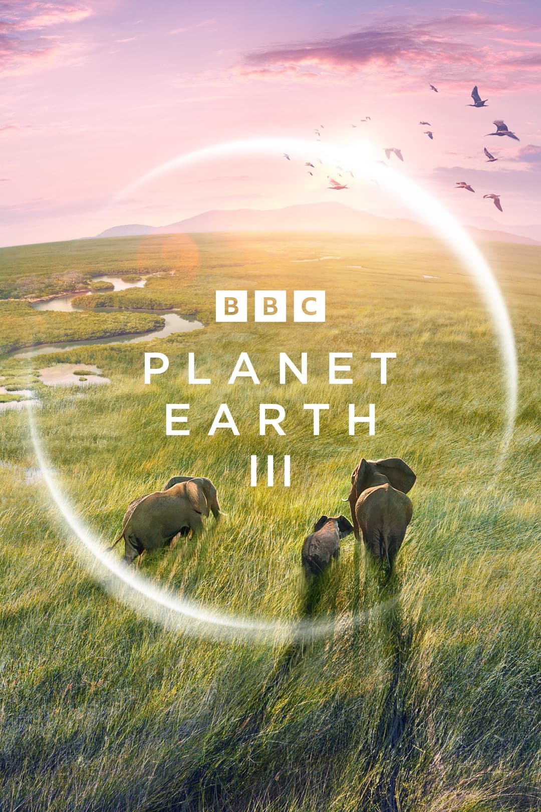 Poster di Pianeta Terra III