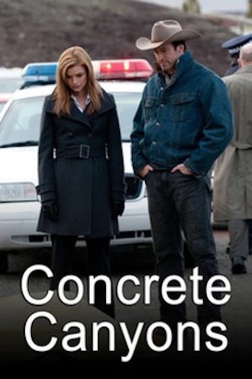 Poster di Concrete Canyons