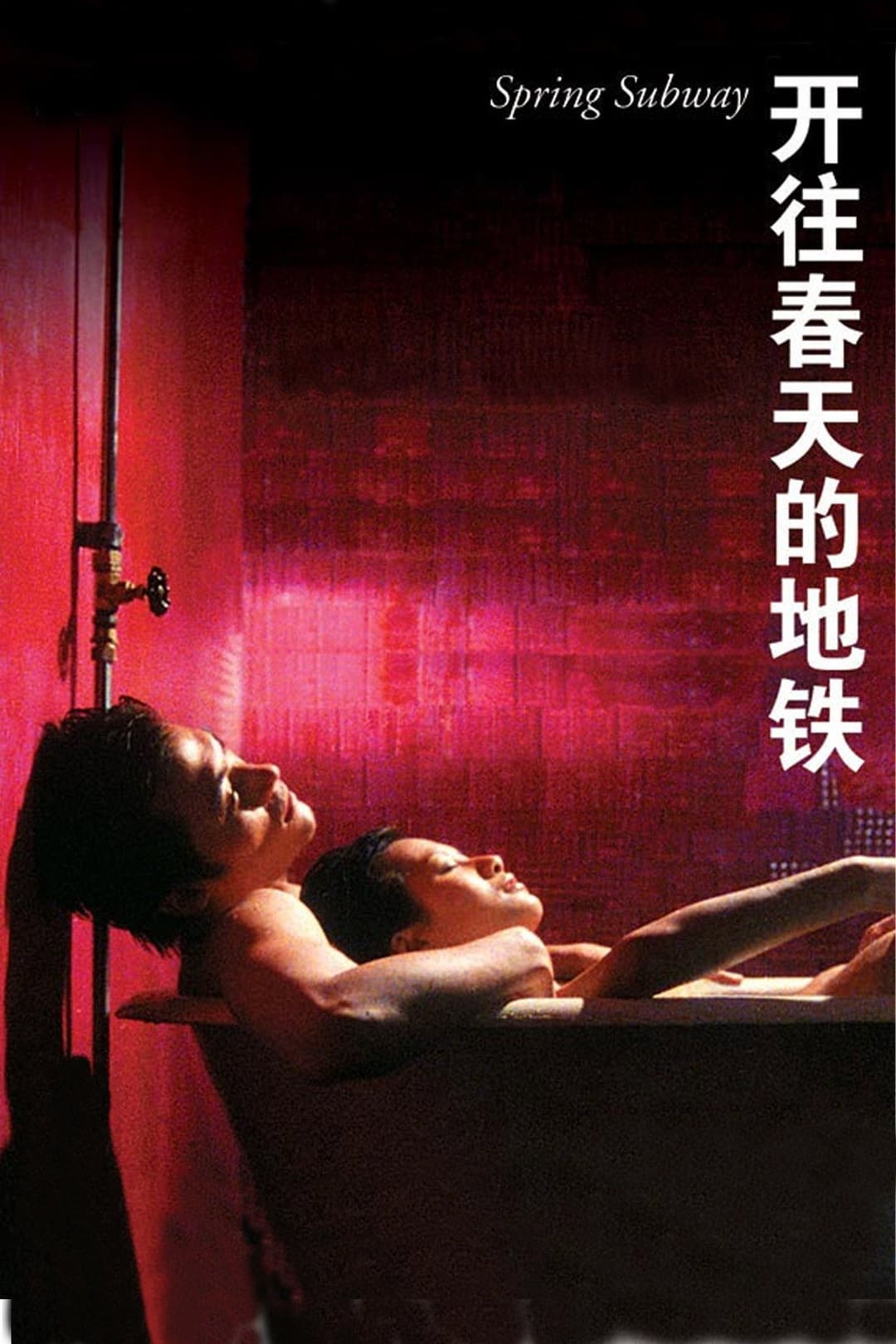 Poster di Spring Subway