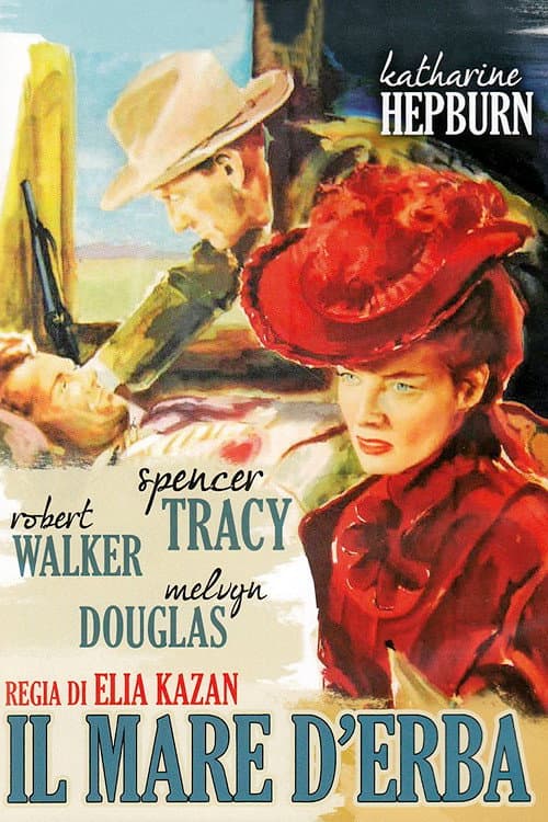 Poster di Il mare d'erba