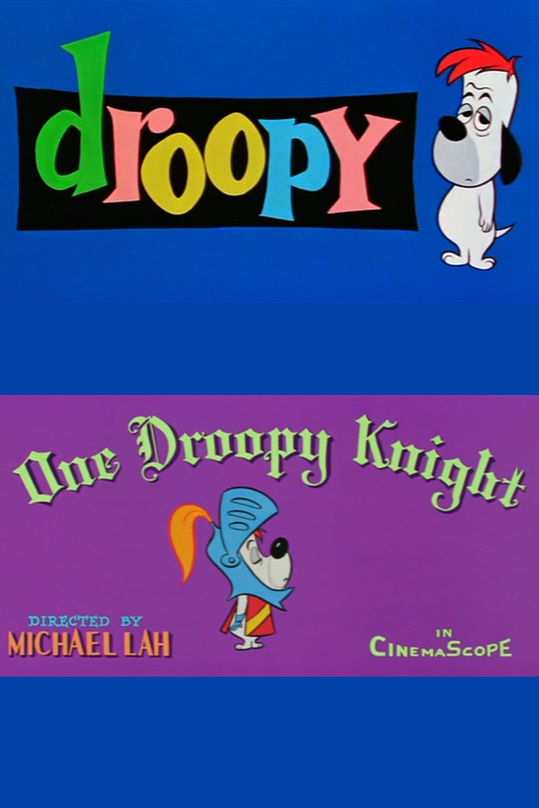 Poster di Il cavaliere Droopy